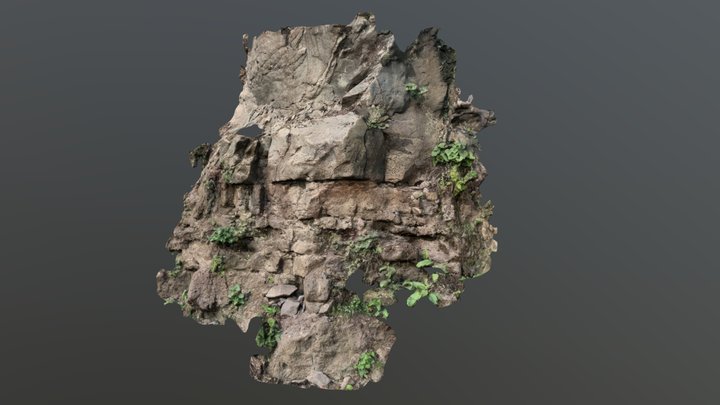 Stone free 3D Model