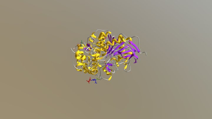 Human Acethylcholinesterase 3D Model