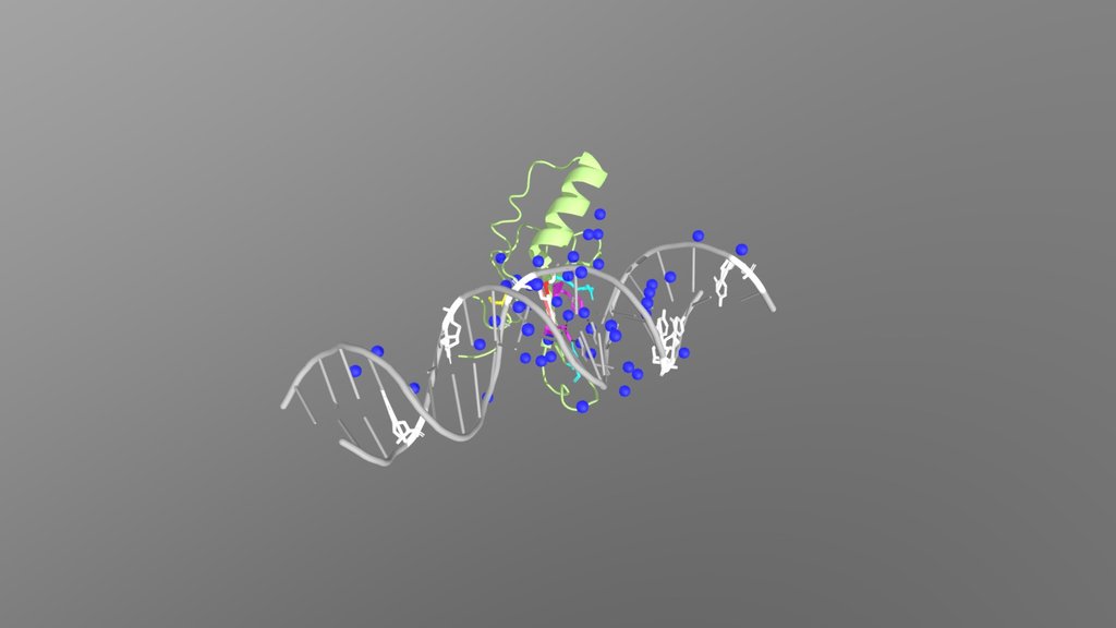 MeCP2: The Water-Mediated Master Regulator