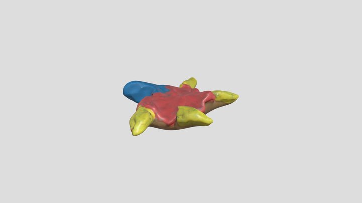 Ziqi – Free 3D Model STL