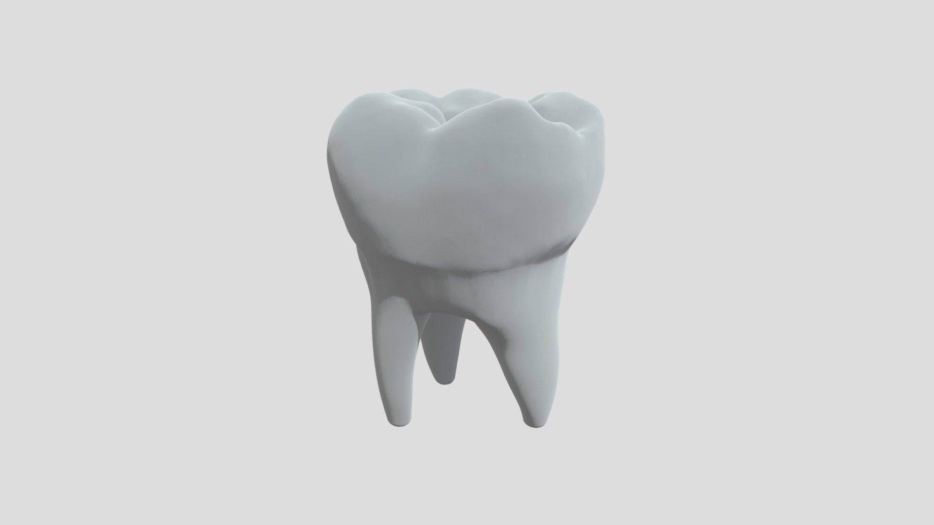 Molar2 - Download Free 3D model by edmar_andrade [4a24c6a] - Sketchfab