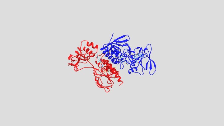 Tioredoxina reductasa de Entamoeba histolytica 3D Model