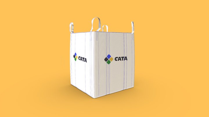 Big Bag Travada 3D Model