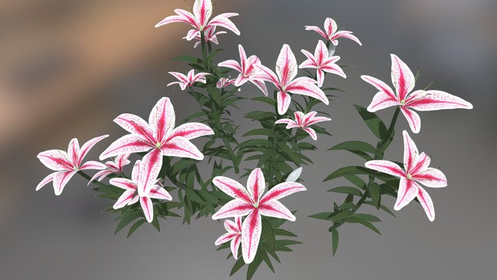FLOWERS WITH ANIMATION 3D Model