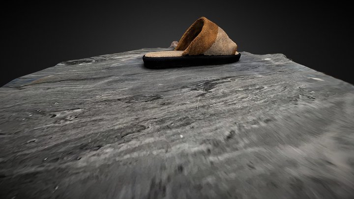 Polycam capture 3D Model