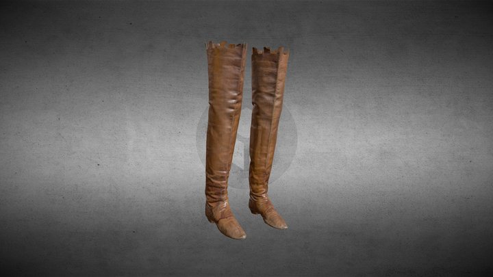 AC-TLR179 boots 3D Model