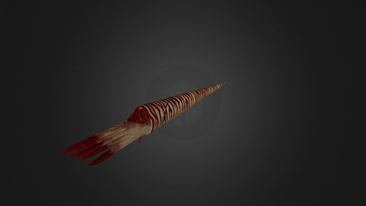 Giant Orthocone 3D Model