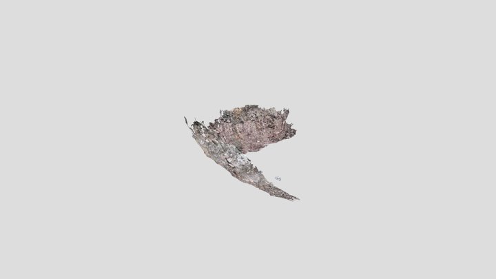 outcrop quarry Mn oxides 3D Model