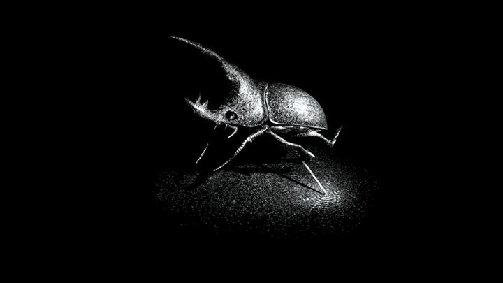 Scratchboard Beetle 3D Model