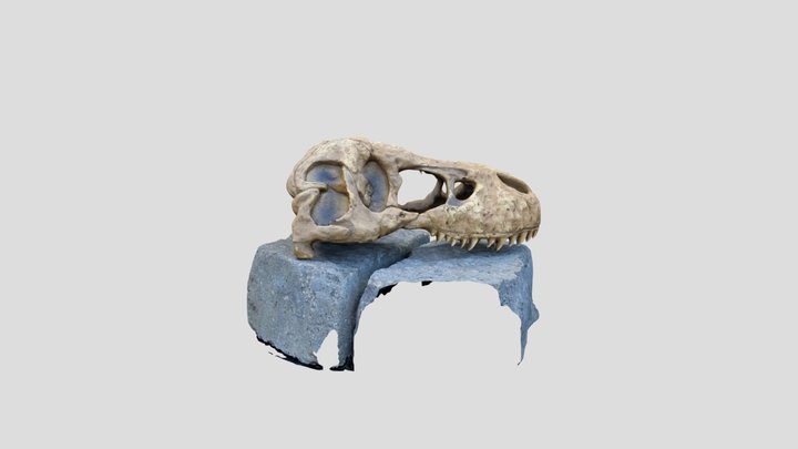Rawr 3D Model