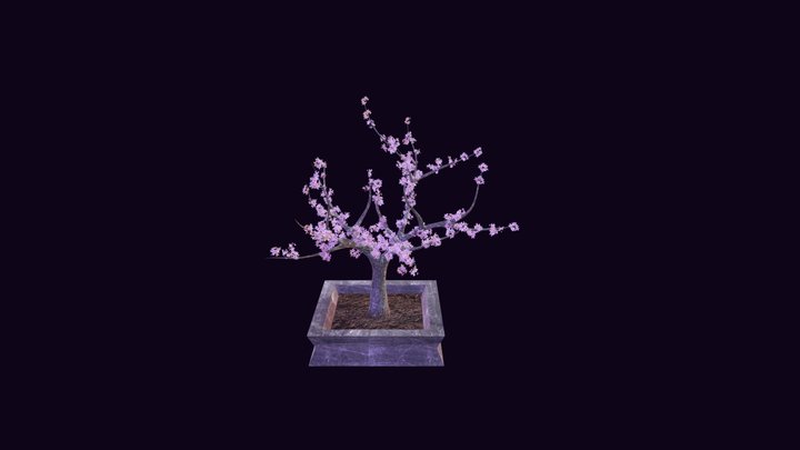 FBX FINAL 3 3D Model