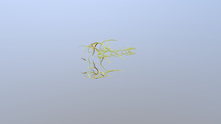 Nerve A 3D Model