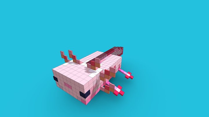 ajolote de minecraft unico 3D Model