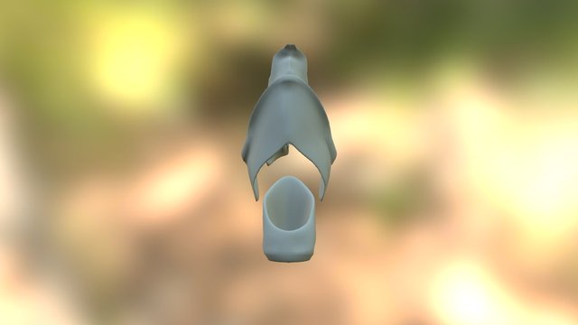 Larynx Spread Out 3D Model