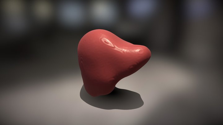 Liver Segmentation 3D Model