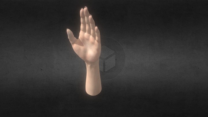 WOMAN_HAND 3D Model