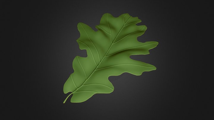 Oak Leaf Practice Sculpt 3D Model