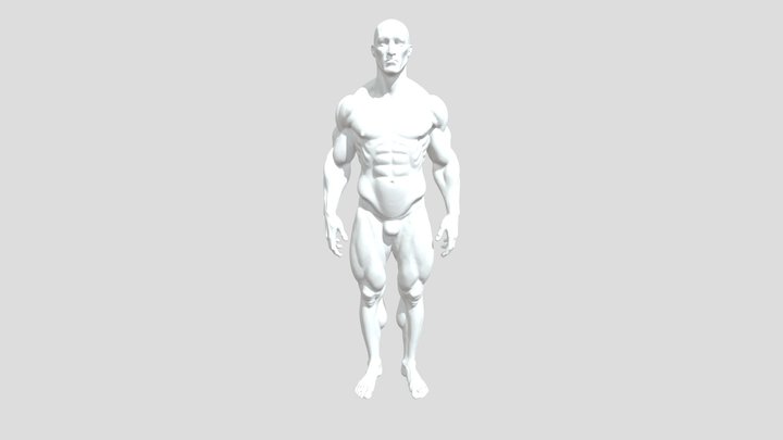 челллллллллллллллл 3D Model