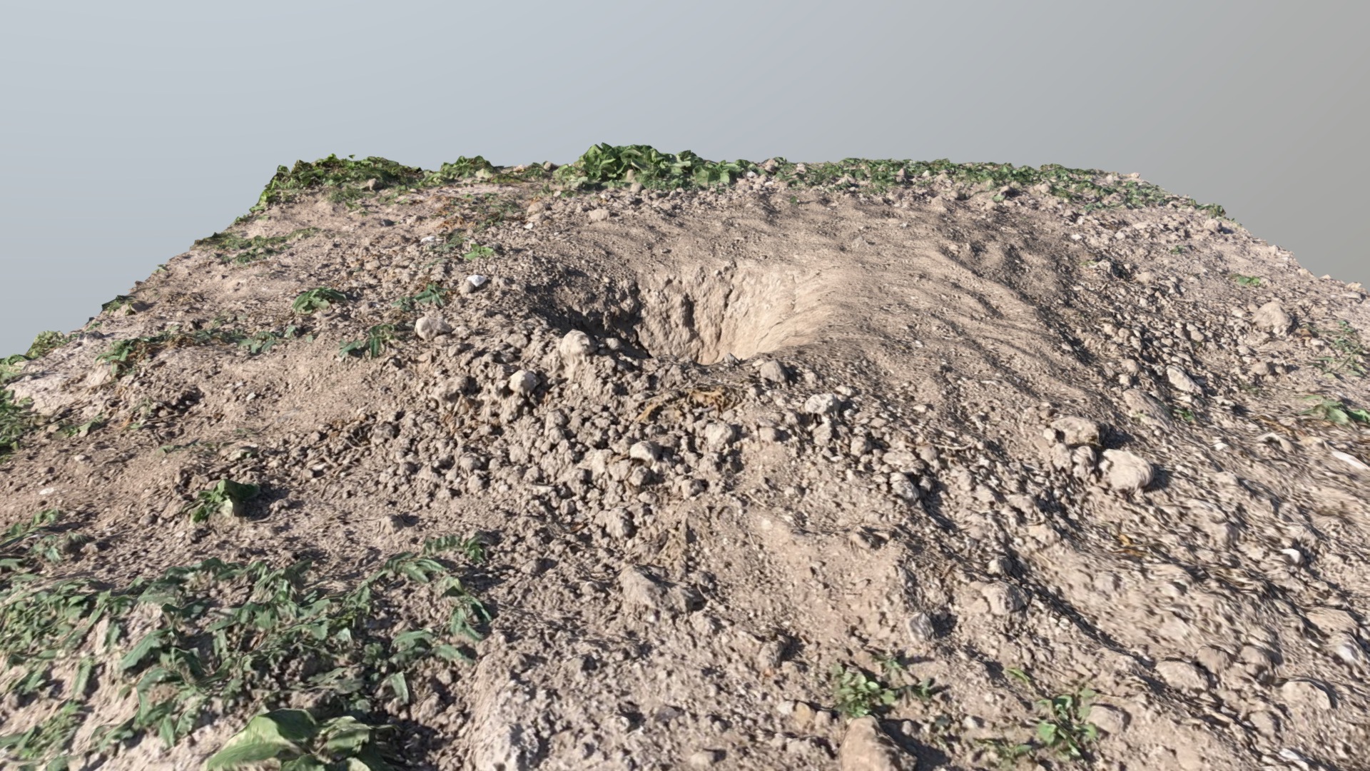 3D model Prairie Dog Hole 3 - This is a 3D model of the Prairie Dog Hole 3. The 3D model is about a rocky hill with plants on it.