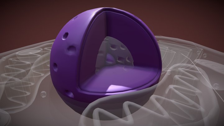 Nucleo 3D Model