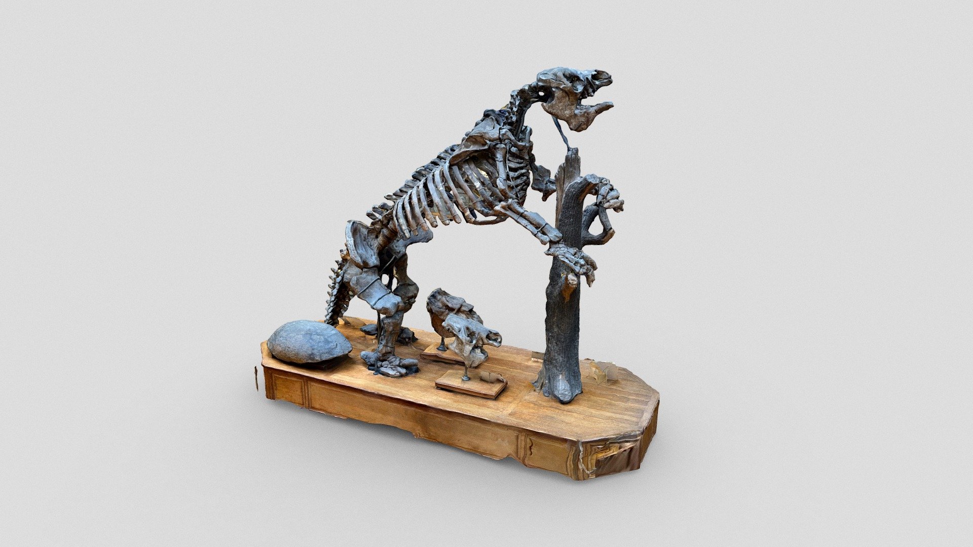 Day 300: The Megatherium (Giant ground sloth) - Download Free 3D model