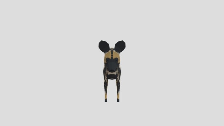 African Wild Dog 3D Model