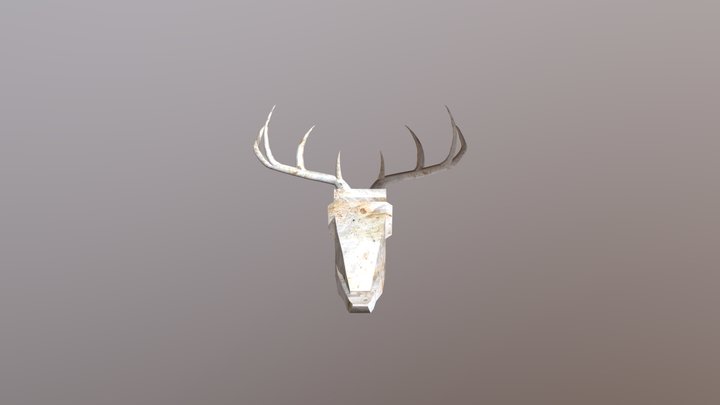 Calavera 3D Model