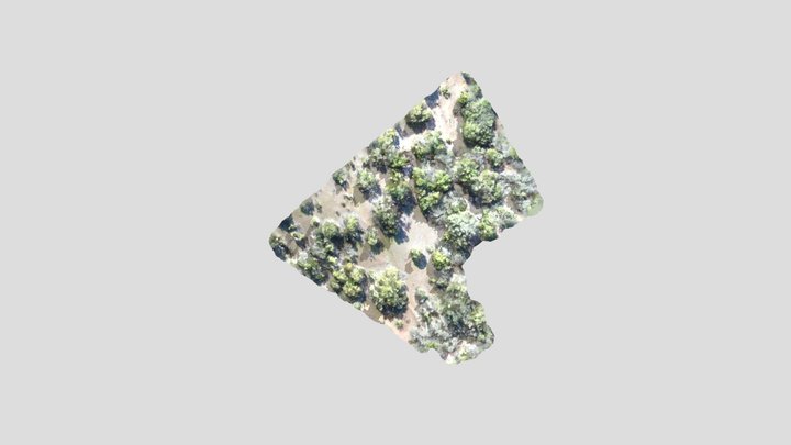 PARCELA 133 3D Model