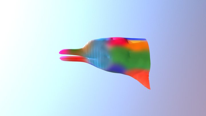 DELFIN Zbrush 3D Model