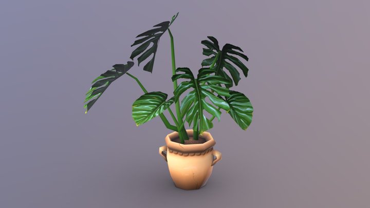 Monstera Deliciosa 3D Model