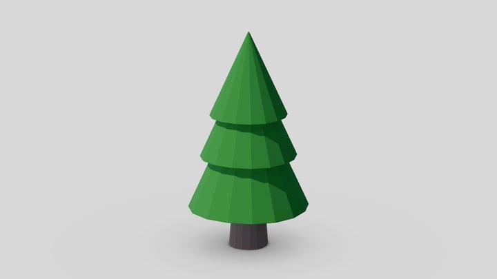 Spruce Tree 3D Model