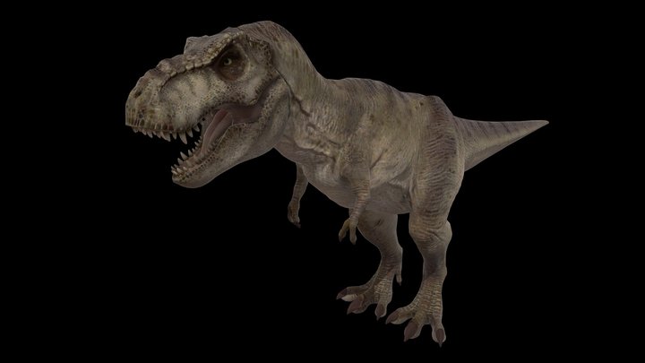 Tyrannosaurus – Modelo 3D gratuito STL