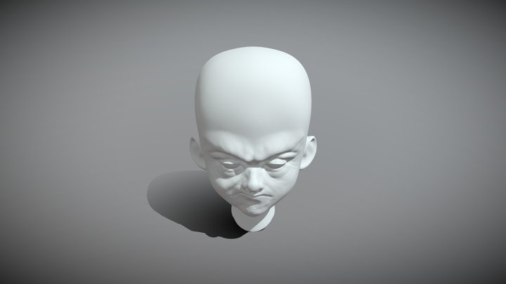 Head 3D Model