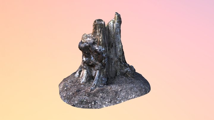 Low Poly Photogrammetry Tree Stump 01 3D Model