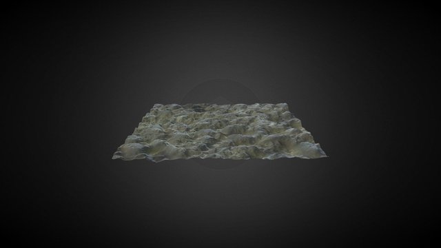 Street Texture Scan 3D Model