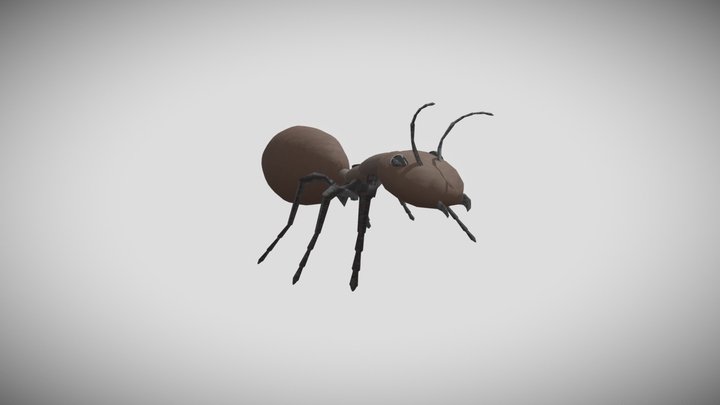 ant walking 3D Model