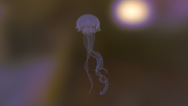 Jellyfish Sketchfab 3D Model