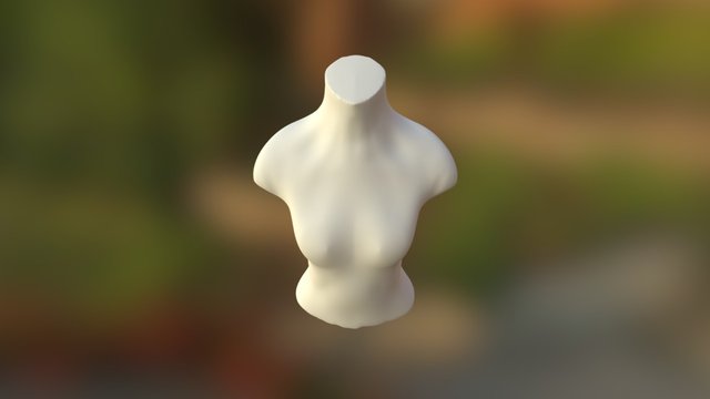 Half Body Low Poly 1 1 3D Model