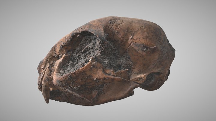 BE24-161-084-120 3D Model