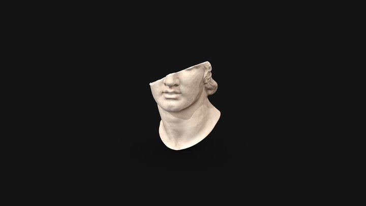 Alexander The Great Scan 3D Model