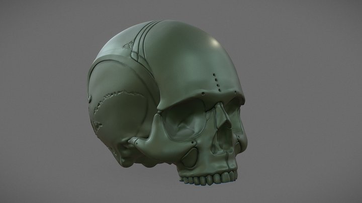 Immortal_skull_01 3D Model