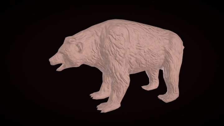 Bear low poly 3D Model