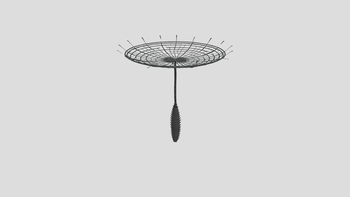 Wiesenbocksbart 3D Model