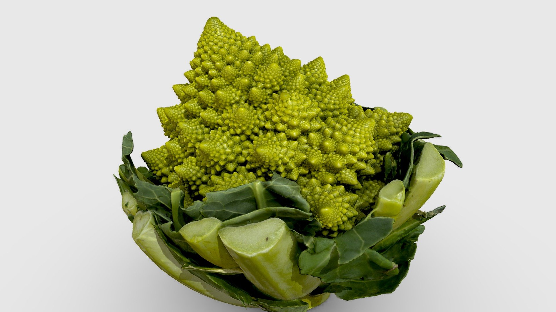 Romanesco (ロマネスコ)