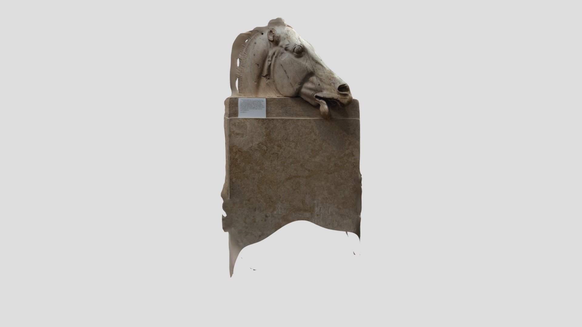 Horse Head Parthenon Sculptures