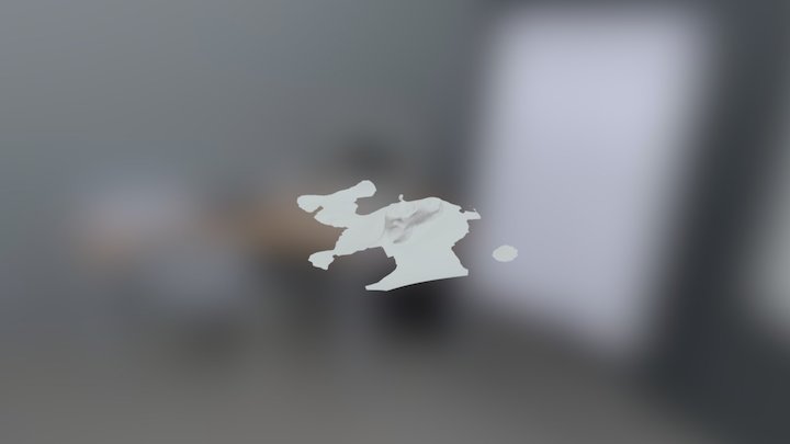 3d scan 3D Model