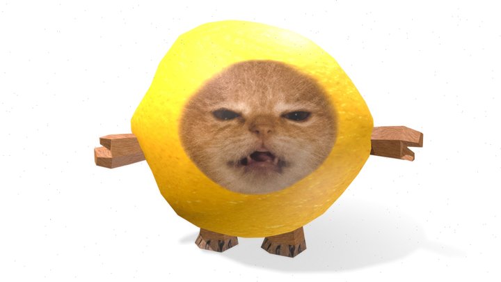 Evil Foid Melon Cat😡