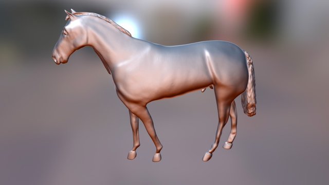 Horse test 3D Model