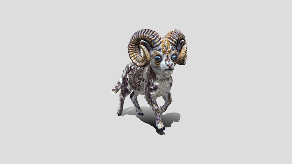 Ram with Massive Curled Horns