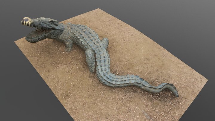 Crocodile 3D Model